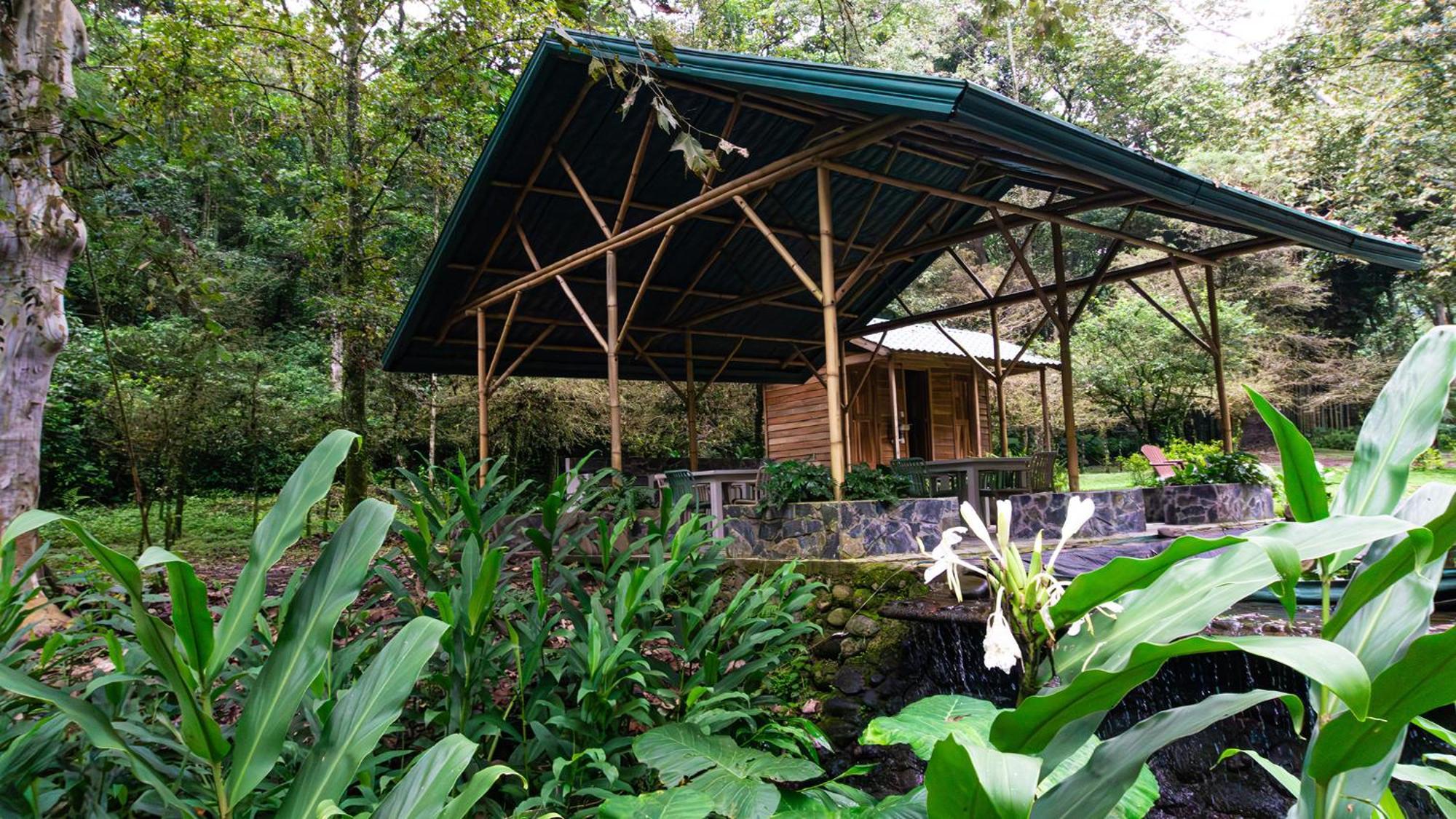 Boscana Forest Resort & Residence Coscomatepec de Bravo Exterior photo